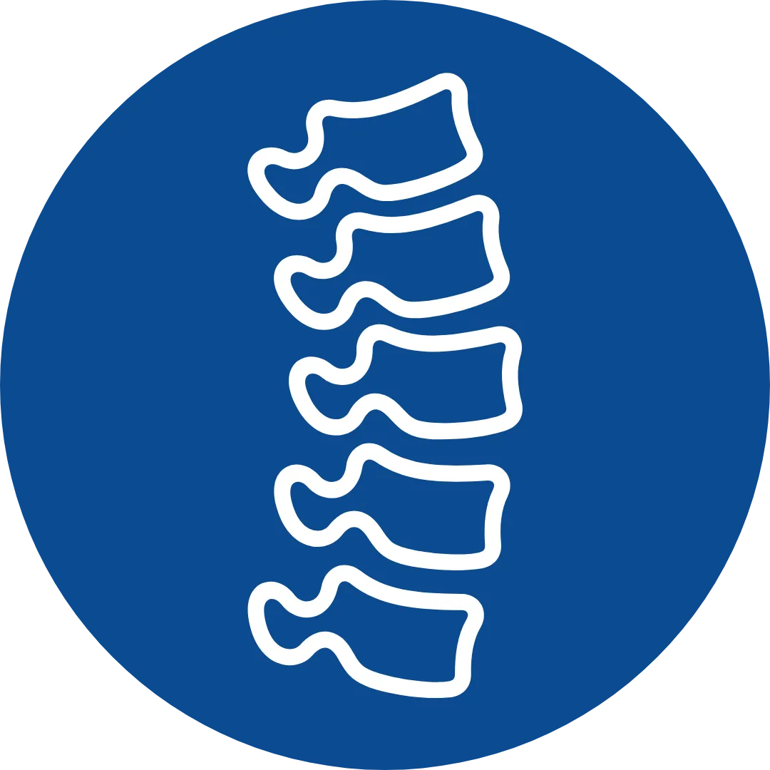 spine icon